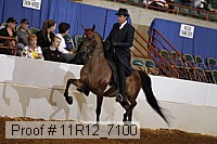 11r12_7100 proof