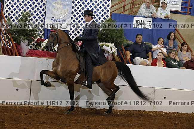 Proof 11r12_7102
