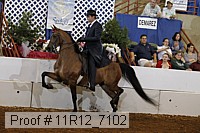 11r12_7102 proof