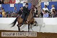 11r12_7103 proof
