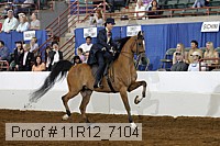 11r12_7104 proof