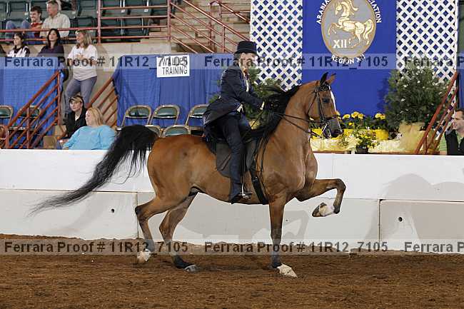 Proof 11r12_7105