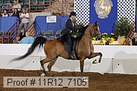 11r12_7105 proof