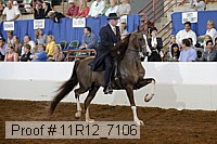 11r12_7106 proof