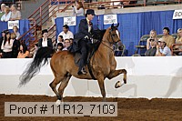 11r12_7109 proof