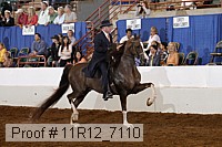 11r12_7110 proof