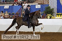 11r12_7111 proof