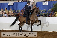 11r12_7113 proof