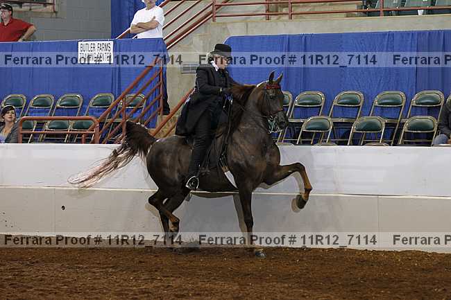 Proof 11r12_7114