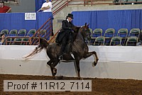 11r12_7114 proof