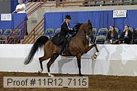 11r12_7115 proof