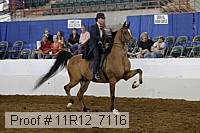 11r12_7116 proof