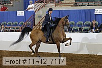 11r12_7117 proof