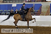 11r12_7118 proof