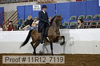 11r12_7119 proof