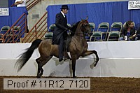 11r12_7120 proof