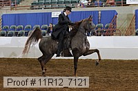 11r12_7121 proof