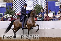 11r12_7122 proof