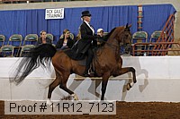 11r12_7123 proof