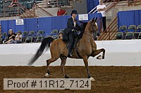 11r12_7124 proof