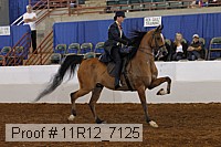 11r12_7125 proof
