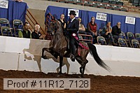 11r12_7128 proof