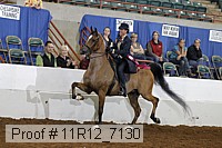 11r12_7130 proof