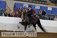 11r12_7133 proof