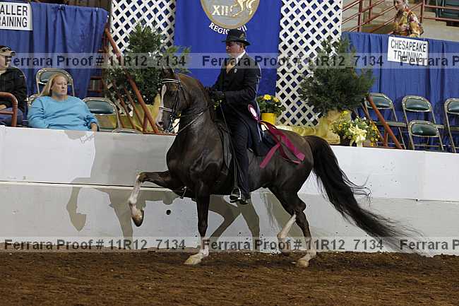 Proof 11r12_7134