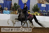 11r12_7134 proof