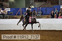 11r12_7137 proof