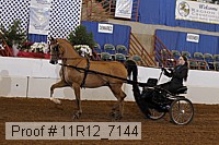 11r12_7144 proof