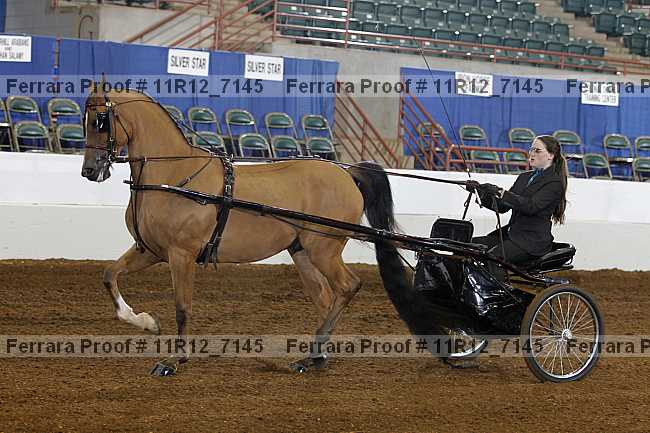 Proof 11r12_7145