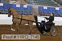 11r12_7145 proof