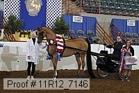 11r12_7146 proof