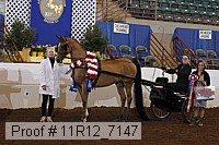 11r12_7147 proof