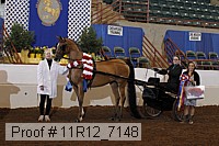 11r12_7148 proof