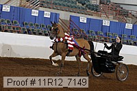 11r12_7149 proof