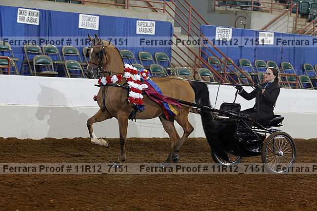 Proof 11r12_7151