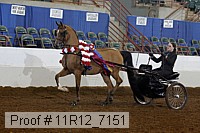 11r12_7151 proof