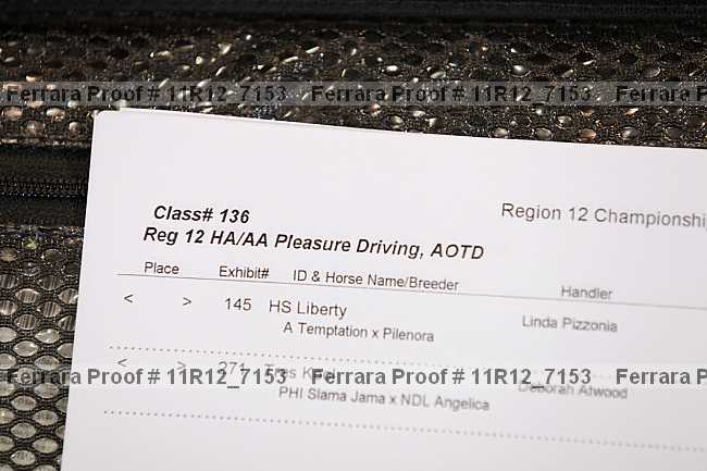 Proof 11r12_7153