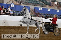 11r12_7154 proof