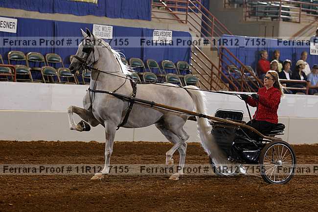 Proof 11r12_7155