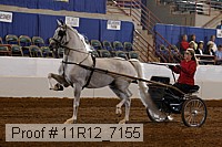 11r12_7155 proof