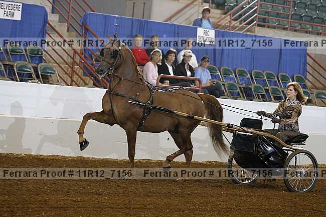 Proof 11r12_7156