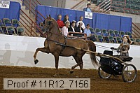 11r12_7156 proof