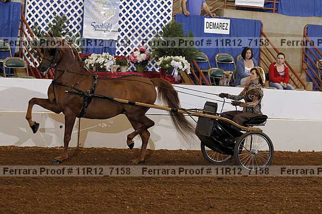 Proof 11r12_7158