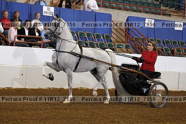 Proof 11r12_7159