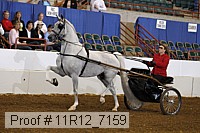 11r12_7159 proof