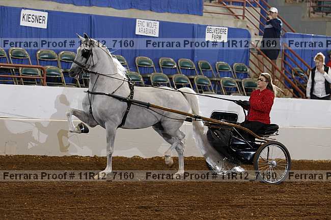 Proof 11r12_7160